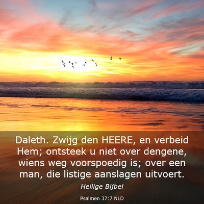 Picture 03 - Psalmen 37:7 NLD - Daleth. Zwijg den HEERE, en verbeid Hem; ontsteek - Bible Verse Picture