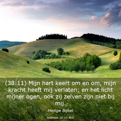 Picture 03 - Psalmen 38:10 NLD - (38:11) Mijn hart keert om en om, mijn kracht - Bible Verse Picture