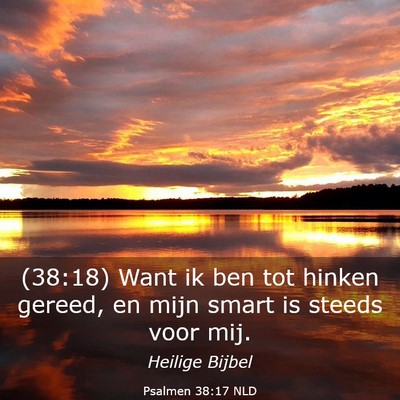 Picture 03 - Psalmen 38:17 NLD - (38:18) Want ik ben tot hinken gereed, en mijn - Bible Verse Picture