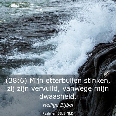 Picture 03 - Psalmen 38:5 NLD - (38:6) Mijn etterbuilen stinken, zij zijn - Bible Verse Picture