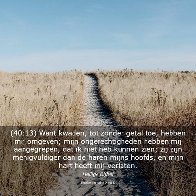 Picture 03 - Psalmen 40:12 NLD - (40:13) Want kwaden, tot zonder getal toe, hebben - Bible Verse Picture