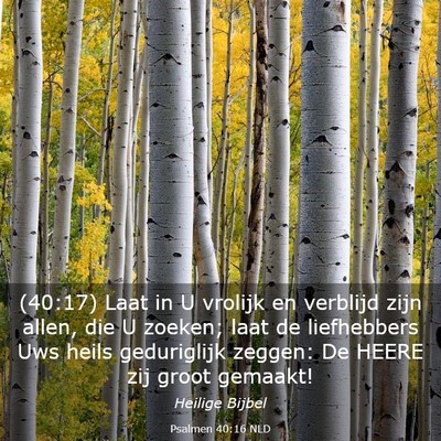 Picture 03 - Psalmen 40:16 NLD - (40:17) Laat in U vrolijk en verblijd zijn allen, - Bible Verse Picture