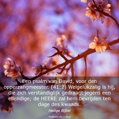 Picture 03 - Psalmen 41:1 NLD - Een psalm van David, voor den opperzangmeester. - Bible Verse Picture