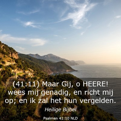 Picture 03 - Psalmen 41:10 NLD - (41:11) Maar Gij, o HEERE! wees mij genadig, en - Bible Verse Picture