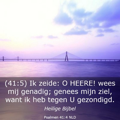 Picture 03 - Psalmen 41:4 NLD - (41:5) Ik zeide: O HEERE! wees mij genadig; - Bible Verse Picture