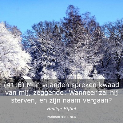 Picture 03 - Psalmen 41:5 NLD - (41:6) Mijn vijanden spreken kwaad van mij, - Bible Verse Picture