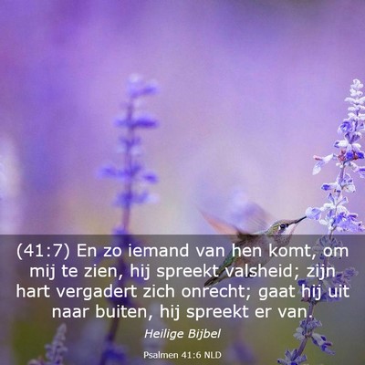 Picture 03 - Psalmen 41:6 NLD - (41:7) En zo iemand van hen komt, om mij te zien, - Bible Verse Picture