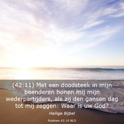 Picture 03 - Psalmen 42:10 NLD - (42:11) Met een doodsteek in mijn beenderen honen - Bible Verse Picture