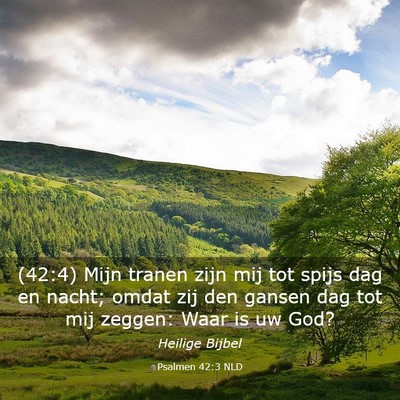 Picture 03 - Psalmen 42:3 NLD - (42:4) Mijn tranen zijn mij tot spijs dag en - Bible Verse Picture