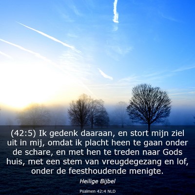 Picture 03 - Psalmen 42:4 NLD - (42:5) Ik gedenk daaraan, en stort mijn ziel uit - Bible Verse Picture