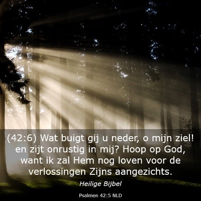 Picture 03 - Psalmen 42:5 NLD - (42:6) Wat buigt gij u neder, o mijn ziel! en - Bible Verse Picture