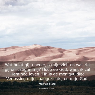 Picture 03 - Psalmen 43:5 NLD - Wat buigt gij u neder, o mijn ziel! en wat zijt - Bible Verse Picture