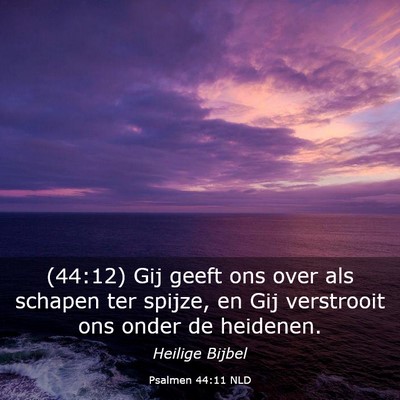 Picture 03 - Psalmen 44:11 NLD - (44:12) Gij geeft ons over als schapen ter - Bible Verse Picture