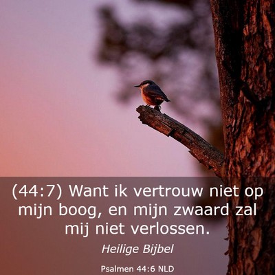 Picture 03 - Psalmen 44:6 NLD - (44:7) Want ik vertrouw niet op mijn boog, en - Bible Verse Picture