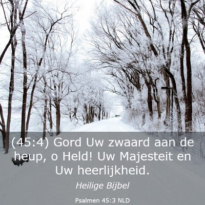 Picture 03 - Psalmen 45:3 NLD - (45:4) Gord Uw zwaard aan de heup, o Held! Uw - Bible Verse Picture