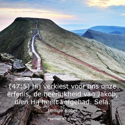 Picture 03 - Psalmen 47:4 NLD - (47:5) Hij verkiest voor ons onze erfenis, de - Bible Verse Picture