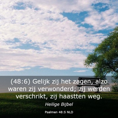 Picture 03 - Psalmen 48:5 NLD - (48:6) Gelijk zij het zagen, alzo waren zij - Bible Verse Picture