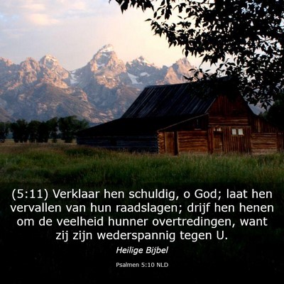 Picture 03 - Psalmen 5:10 NLD - (5:11) Verklaar hen schuldig, o God; laat hen - Bible Verse Picture