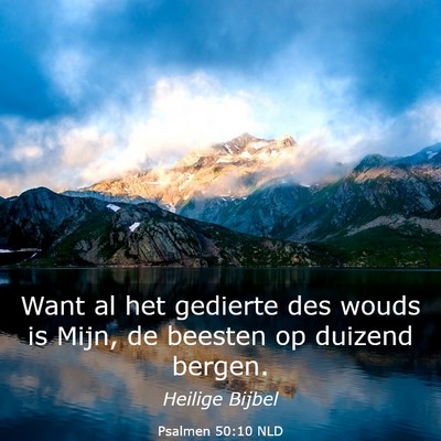 Picture 03 - Psalmen 50:10 NLD - Want al het gedierte des wouds is Mijn, de - Bible Verse Picture