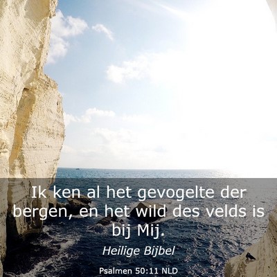 Picture 03 - Psalmen 50:11 NLD - Ik ken al het gevogelte der bergen, en het wild - Bible Verse Picture