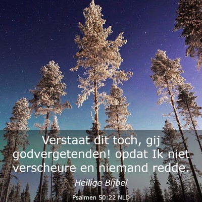Picture 03 - Psalmen 50:22 NLD - Verstaat dit toch, gij godvergetenden! opdat Ik - Bible Verse Picture
