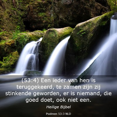 Picture 03 - Psalmen 53:3 NLD - (53:4) Een ieder van hen is teruggekeerd, te - Bible Verse Picture