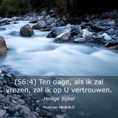 Picture 03 - Psalmen 56:3 NLD - (56:4) Ten dage, als ik zal vrezen, zal ik op U - Bible Verse Picture