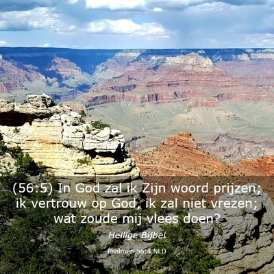 Picture 03 - Psalmen 56:4 NLD - (56:5) In God zal ik Zijn woord prijzen; ik - Bible Verse Picture