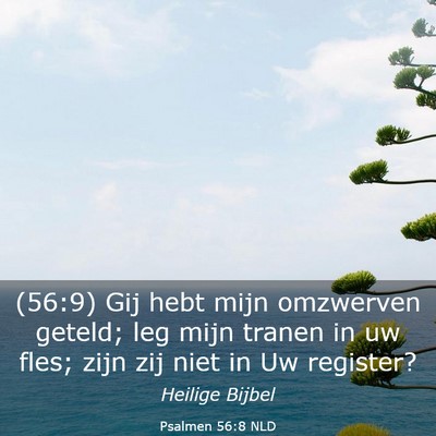 Picture 03 - Psalmen 56:8 NLD - (56:9) Gij hebt mijn omzwerven geteld; leg mijn - Bible Verse Picture