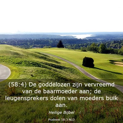 Picture 03 - Psalmen 58:3 NLD - (58:4) De goddelozen zijn vervreemd van de - Bible Verse Picture