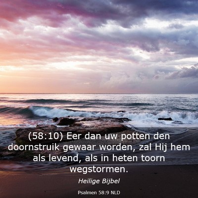 Picture 03 - Psalmen 58:9 NLD - (58:10) Eer dan uw potten den doornstruik gewaar - Bible Verse Picture