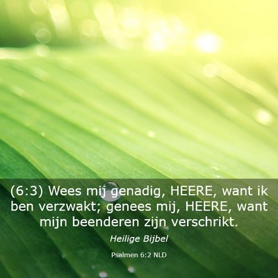 Picture 03 - Psalmen 6:2 NLD - (6:3) Wees mij genadig, HEERE, want ik ben - Bible Verse Picture