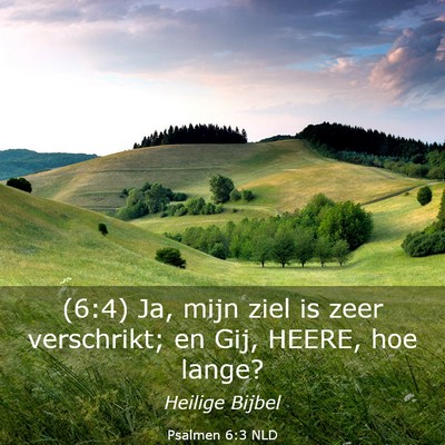 Picture 03 - Psalmen 6:3 NLD - (6:4) Ja, mijn ziel is zeer verschrikt; en Gij, - Bible Verse Picture