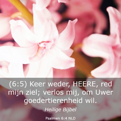 Picture 03 - Psalmen 6:4 NLD - (6:5) Keer weder, HEERE, red mijn ziel; verlos - Bible Verse Picture