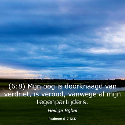 Picture 03 - Psalmen 6:7 NLD - (6:8) Mijn oog is doorknaagd van verdriet, is - Bible Verse Picture