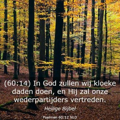 Picture 03 - Psalmen 60:12 NLD - (60:14) In God zullen wij kloeke daden doen, en - Bible Verse Picture