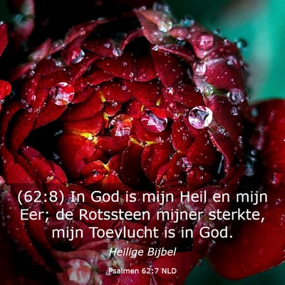 Picture 03 - Psalmen 62:7 NLD - (62:8) In God is mijn Heil en mijn Eer; de - Bible Verse Picture
