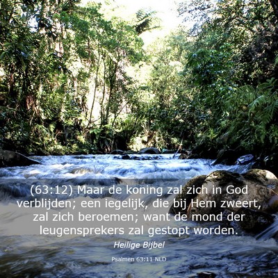 Picture 03 - Psalmen 63:11 NLD - (63:12) Maar de koning zal zich in God - Bible Verse Picture