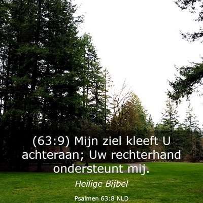 Picture 03 - Psalmen 63:8 NLD - (63:9) Mijn ziel kleeft U achteraan; Uw - Bible Verse Picture