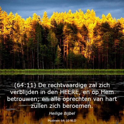 Picture 03 - Psalmen 64:10 NLD - (64:11) De rechtvaardige zal zich verblijden in - Bible Verse Picture