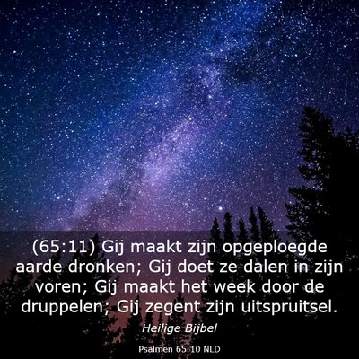 Picture 03 - Psalmen 65:10 NLD - (65:11) Gij maakt zijn opgeploegde aarde dronken; - Bible Verse Picture
