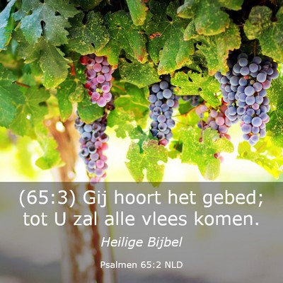 Picture 03 - Psalmen 65:2 NLD - (65:3) Gij hoort het gebed; tot U zal alle vlees - Bible Verse Picture