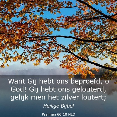 Picture 03 - Psalmen 66:10 NLD - Want Gij hebt ons beproefd, o God! Gij hebt ons - Bible Verse Picture