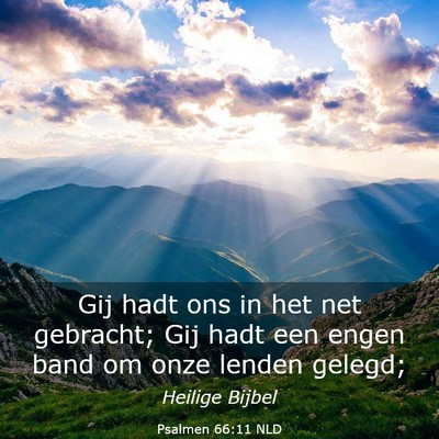 Picture 03 - Psalmen 66:11 NLD - Gij hadt ons in het net gebracht; Gij hadt een - Bible Verse Picture