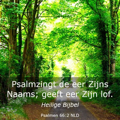 Picture 03 - Psalmen 66:2 NLD - Psalmzingt de eer Zijns Naams; geeft eer Zijn - Bible Verse Picture