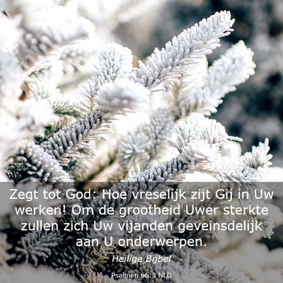 Picture 03 - Psalmen 66:3 NLD - Zegt tot God: Hoe vreselijk zijt Gij in Uw - Bible Verse Picture