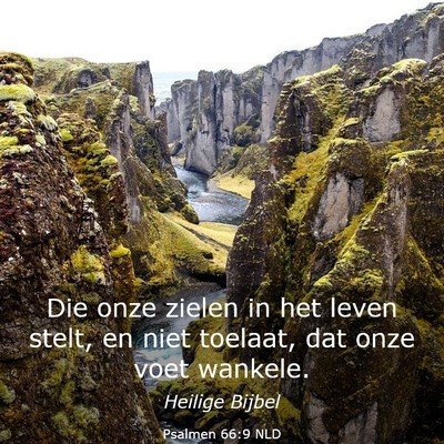 Picture 03 - Psalmen 66:9 NLD - Die onze zielen in het leven stelt, en niet - Bible Verse Picture
