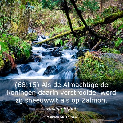 Picture 03 - Psalmen 68:14 NLD - (68:15) Als de Almachtige de koningen daarin - Bible Verse Picture