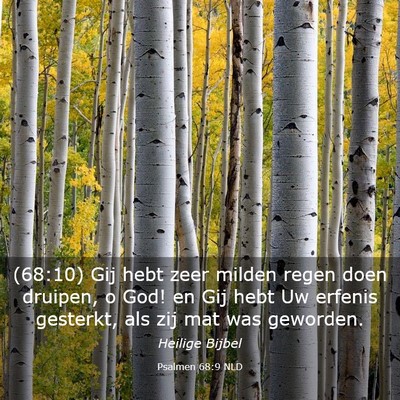 Picture 03 - Psalmen 68:9 NLD - (68:10) Gij hebt zeer milden regen doen druipen, - Bible Verse Picture