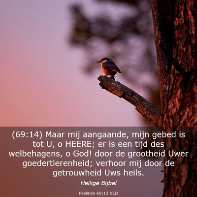 Picture 03 - Psalmen 69:13 NLD - (69:14) Maar mij aangaande, mijn gebed is tot U, - Bible Verse Picture